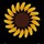 webuser_8683118