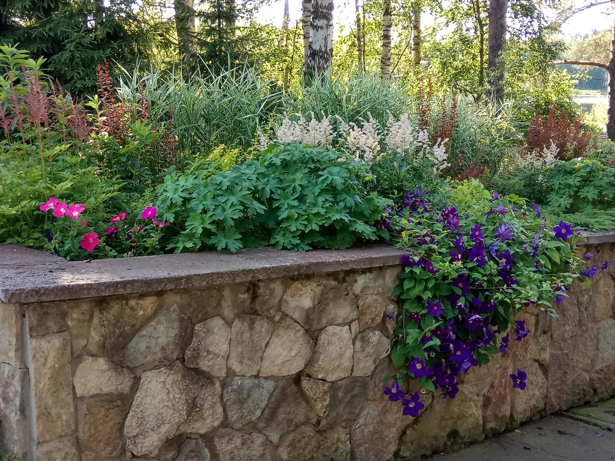 Озеленение рельефного участка в Токсово