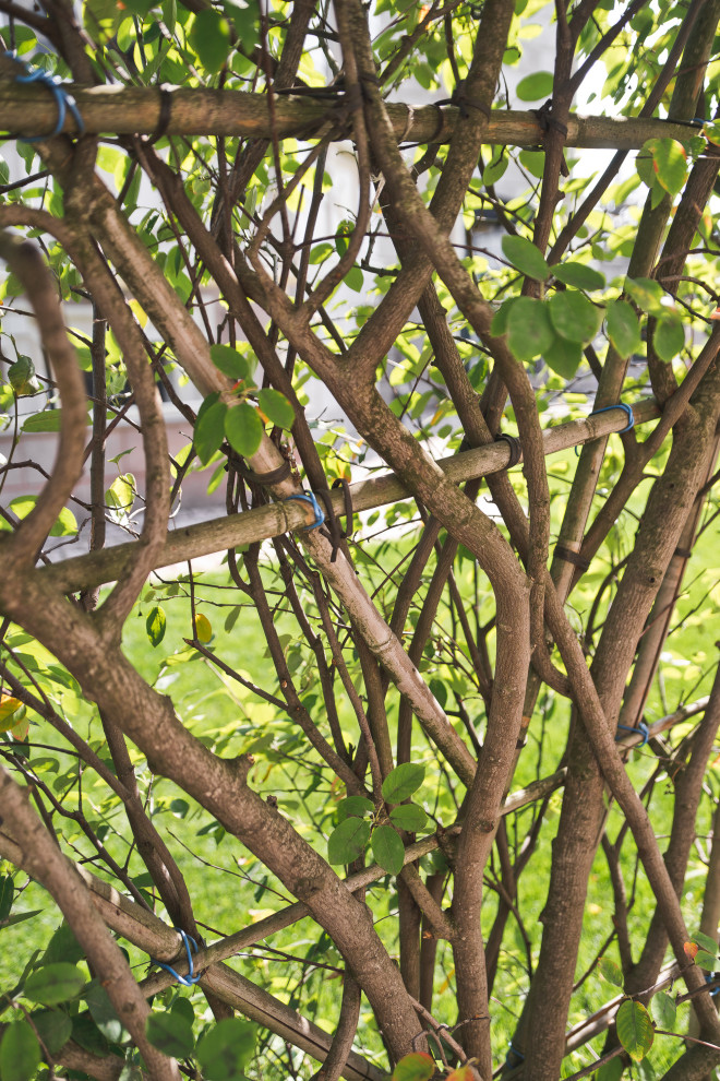 Современный сад на Успенском шоссе