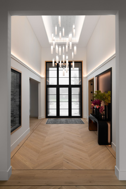 Private Residence modern-eingang