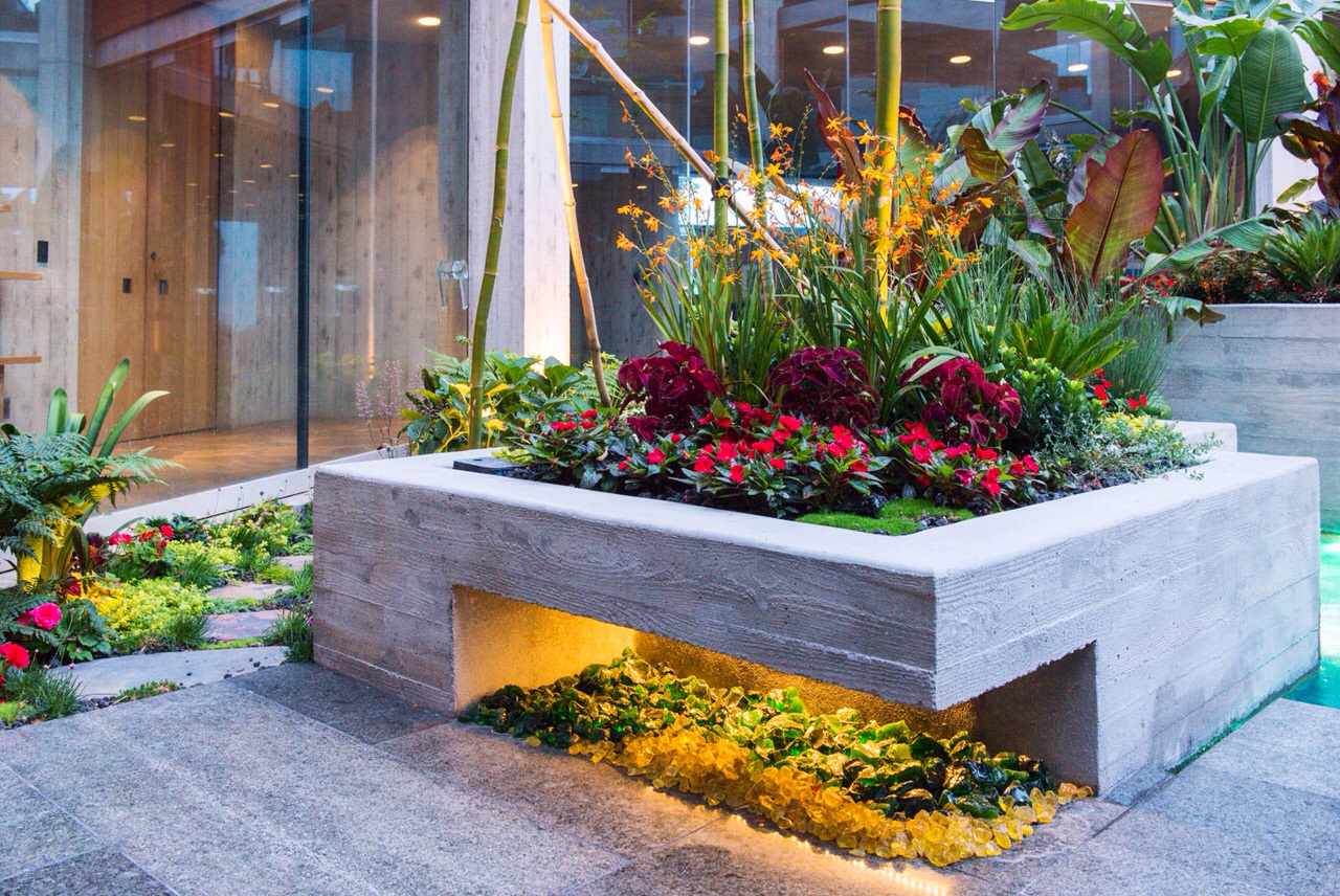 Tropical Modern Landscape
