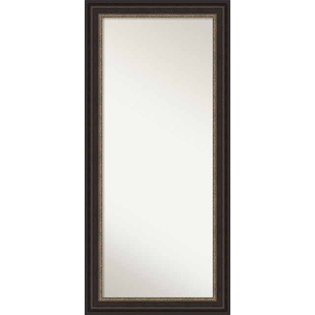 Floor Leaner Full Length Mirror in Bronze Transitional Floor