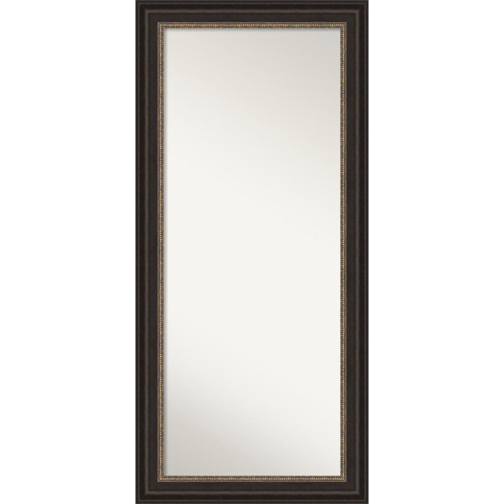 Floor Leaner Full Length Mirror in Bronze Transitional Floor