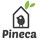 Pineca.com