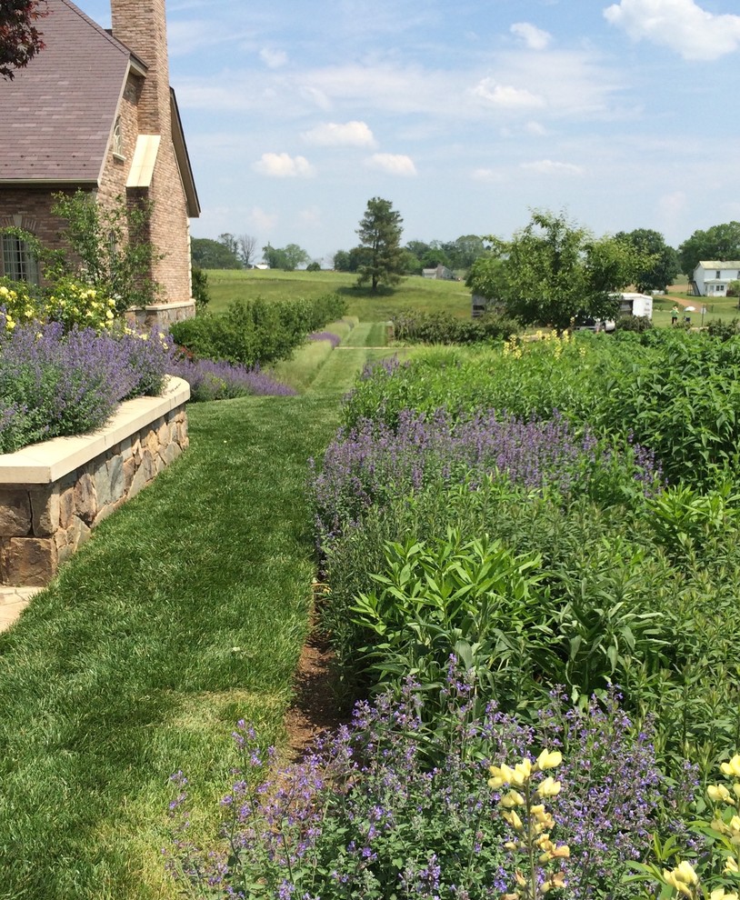 Design ideas for a large transitional landscaping.