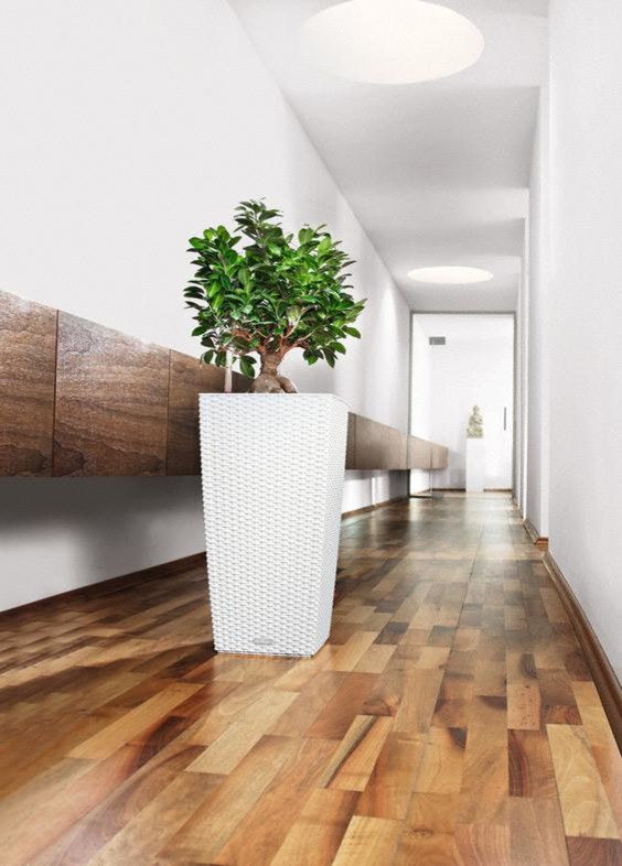 Стильный универсал