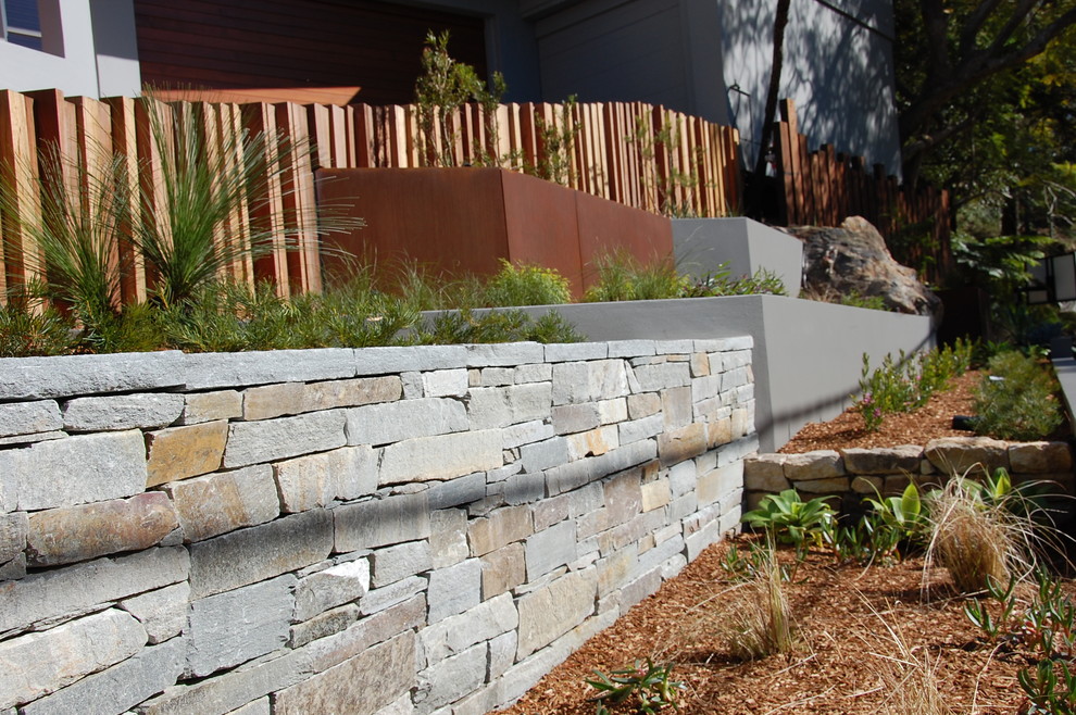 Front Yard Landscape Design - Modern - Landscape - Sydney - by Space
