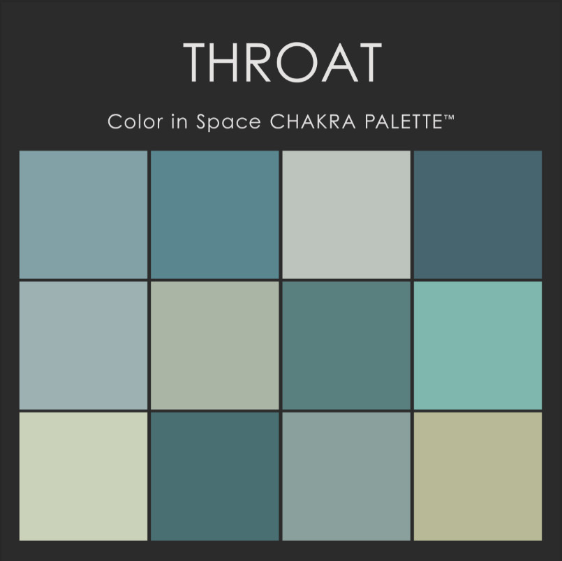 Color in Space Throat Chakra Paint Color Palette™