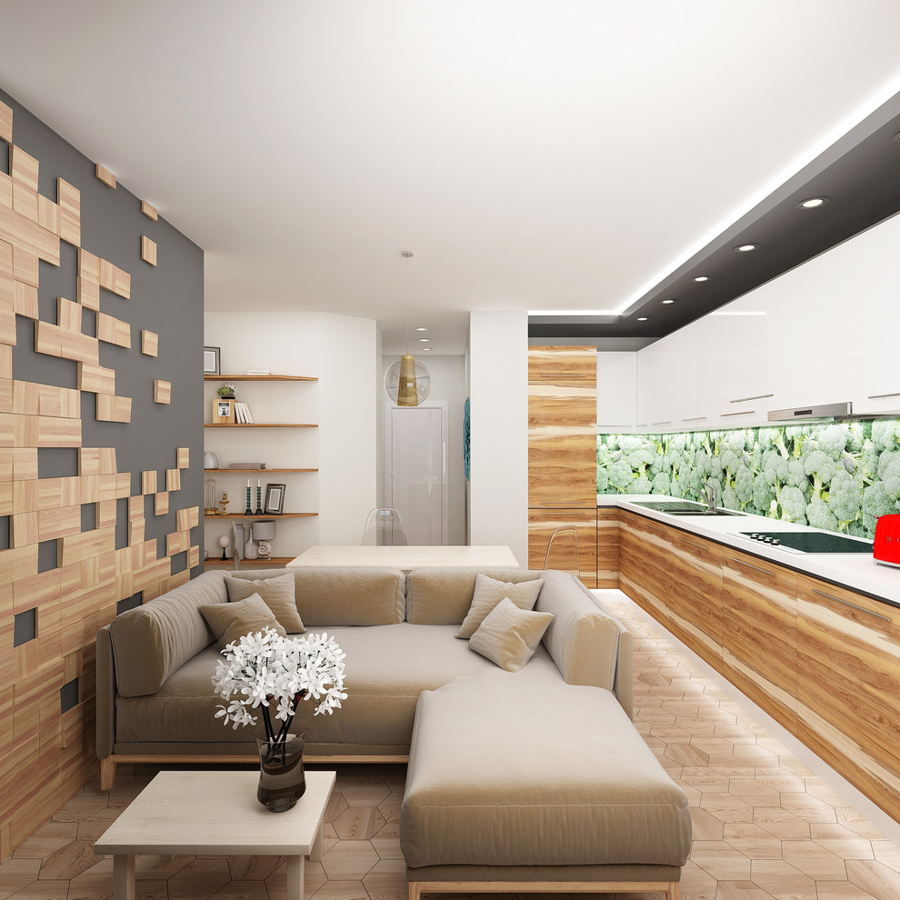 Проект однокомнатной квартиры на улице Репищева