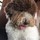 wendy_ruiz47