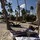 david_ch84
