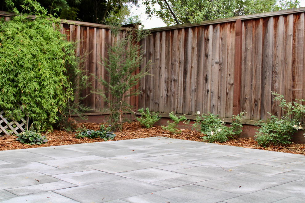 Cosy San Carlos Backyard