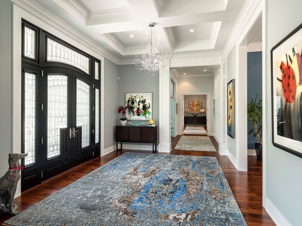 Design ideas for a large transitional foyer in Miami with blue walls, medium hardwood floors, a double front door and a black front door.