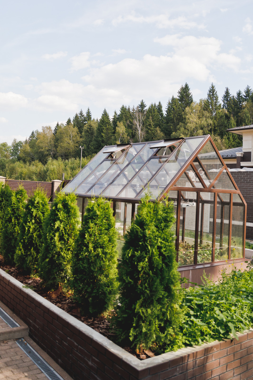 Сад на краю леса