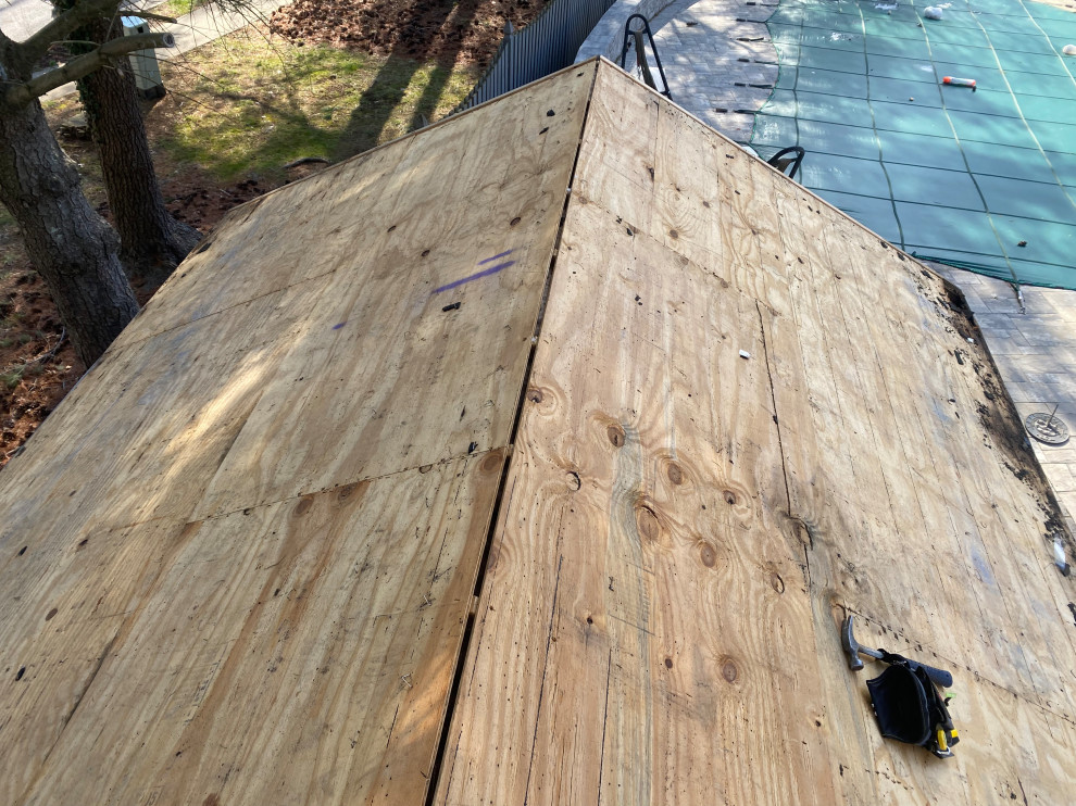 Shed Roof Repair