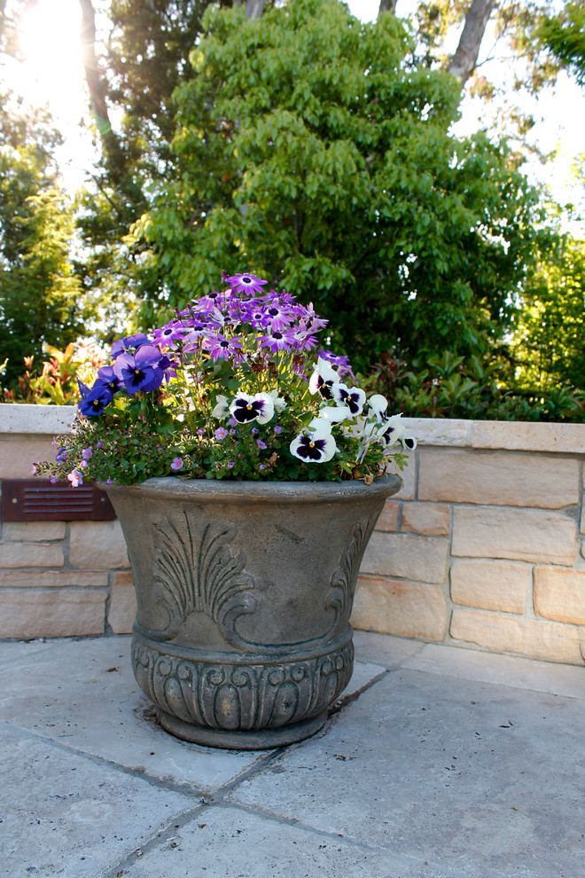 Potted Plants Traditional Landscape San Francisco by Terra