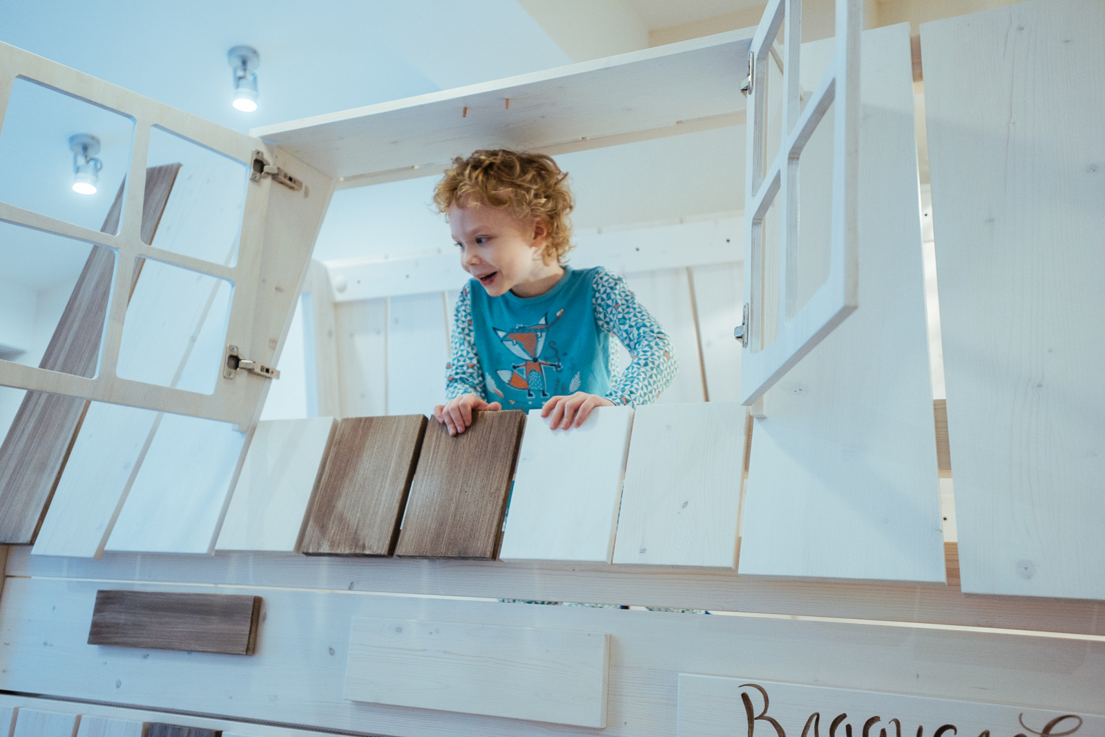 Новая жизнь