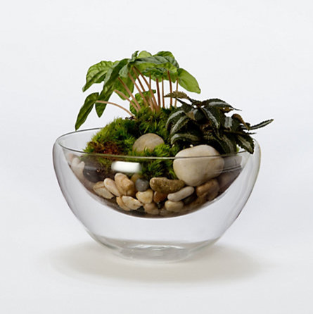 Floating Sand Bowl - Contemporary - Indoor Pots And Planters - by Terrain