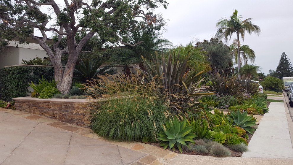 Photo of a contemporary front yard garden in Orange County.