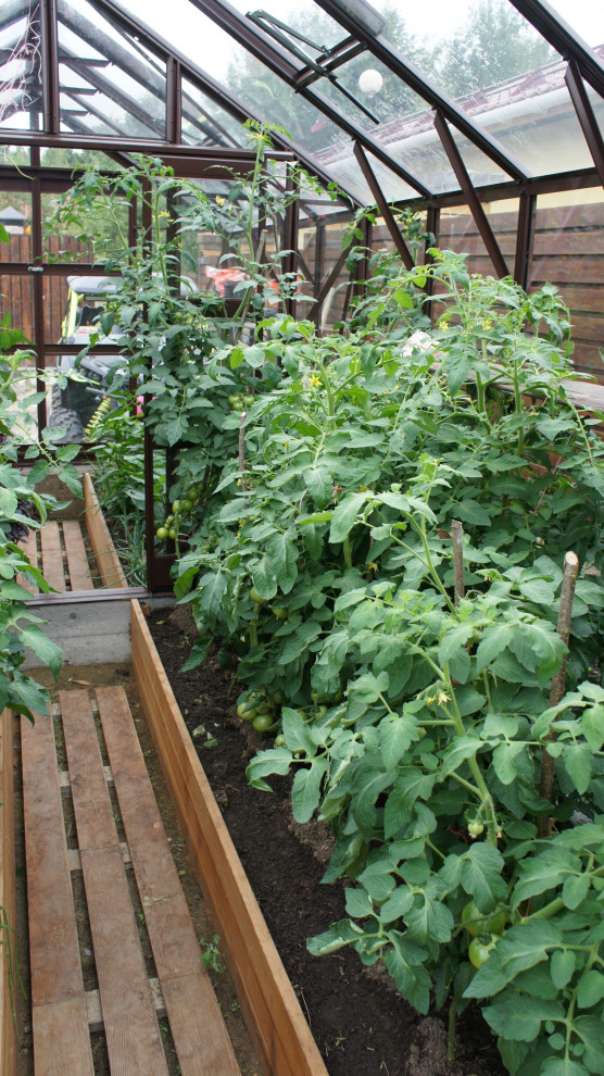 Прохорово лето 2017