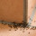 Ants Control Adelaide