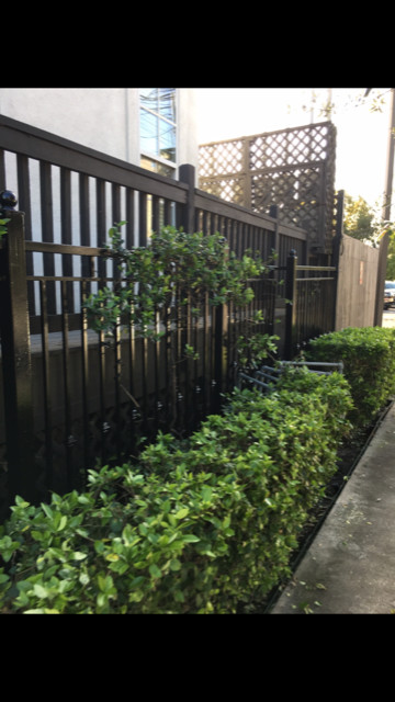 Wrought Iron Fence Renewed & Repainted.