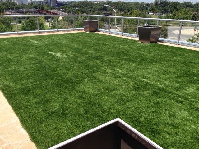 Mid-sized rooftop full sun garden in Austin.