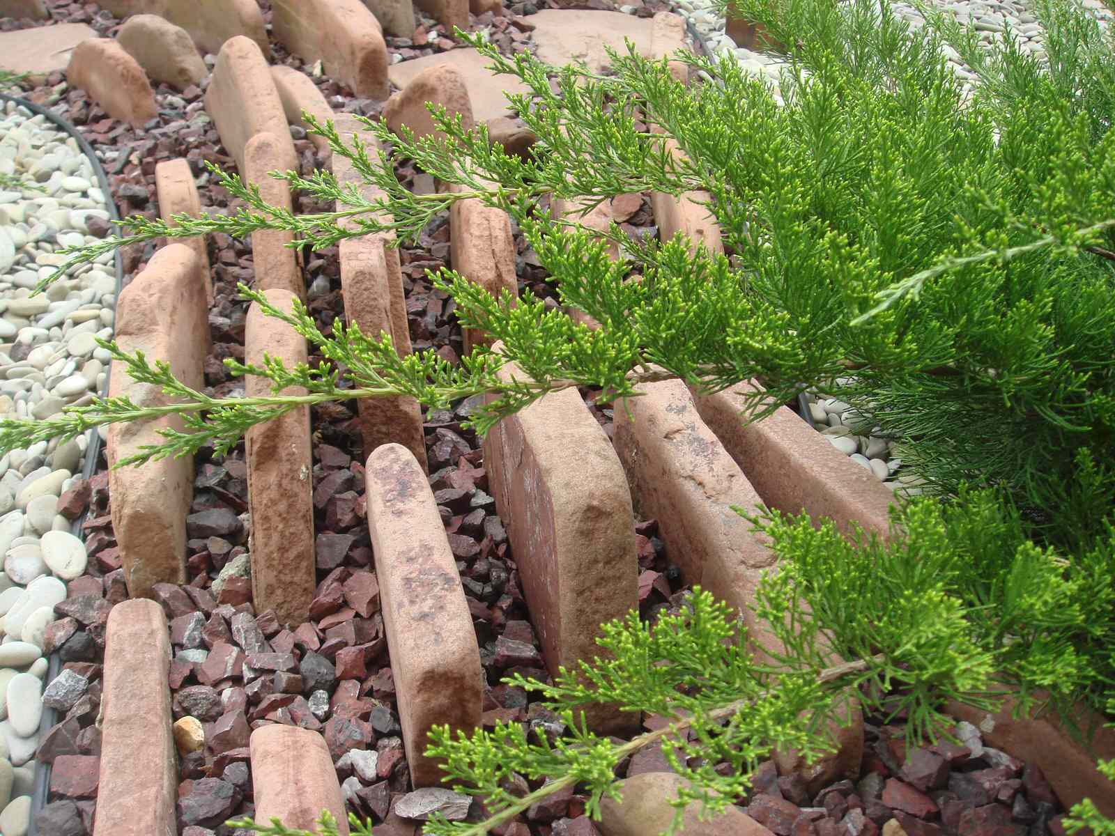 Сад "Динамика движения"