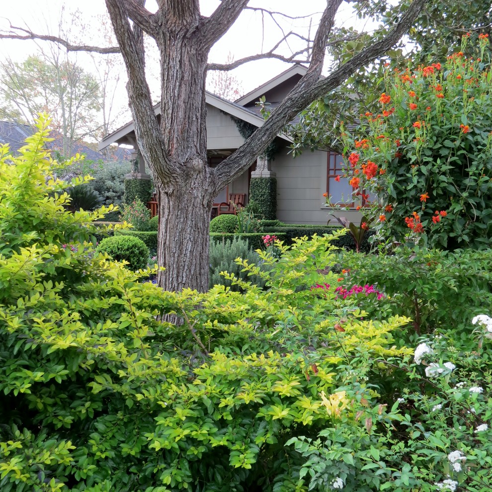 Home design - craftsman home design idea in Houston