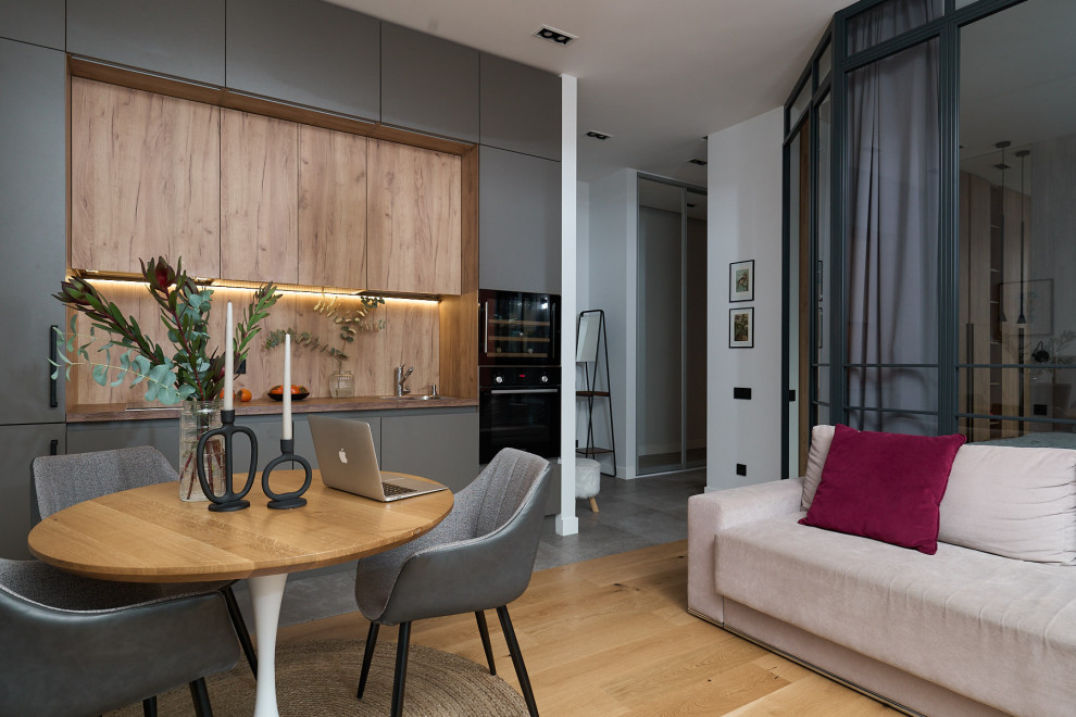 Apartment  ZilArt 60m2