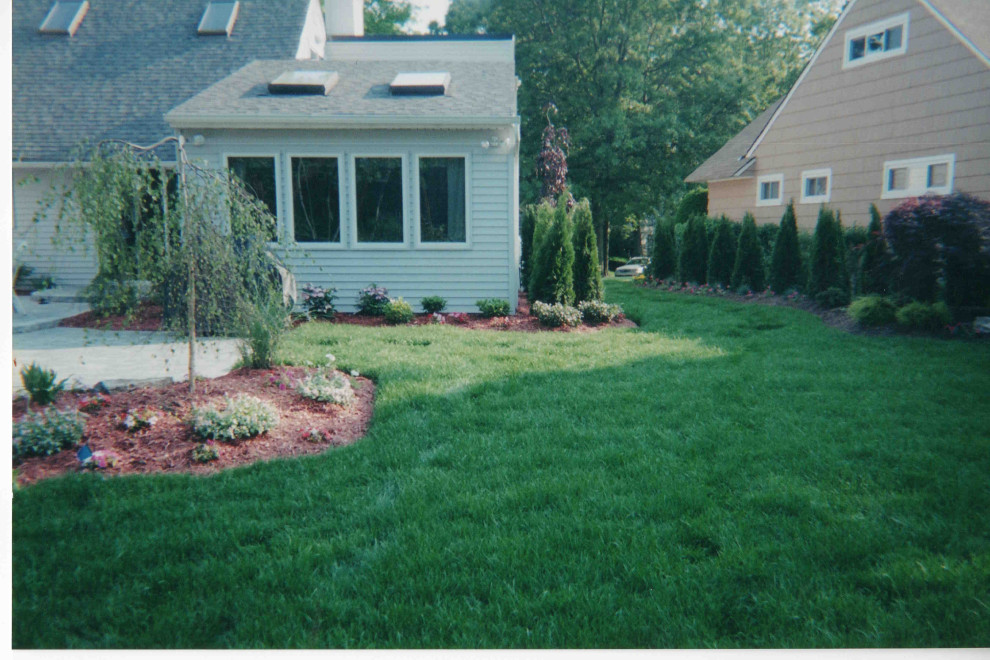 Backyard oasis and complete renovation