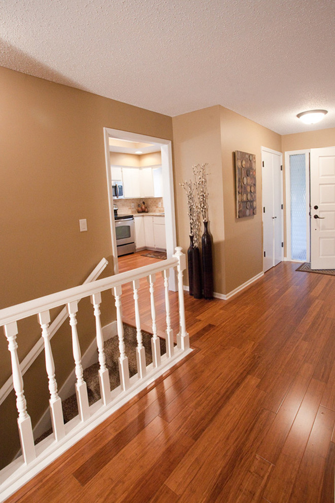 This is an example of a transitional entryway in Omaha.