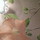 Last commented by Cat Church