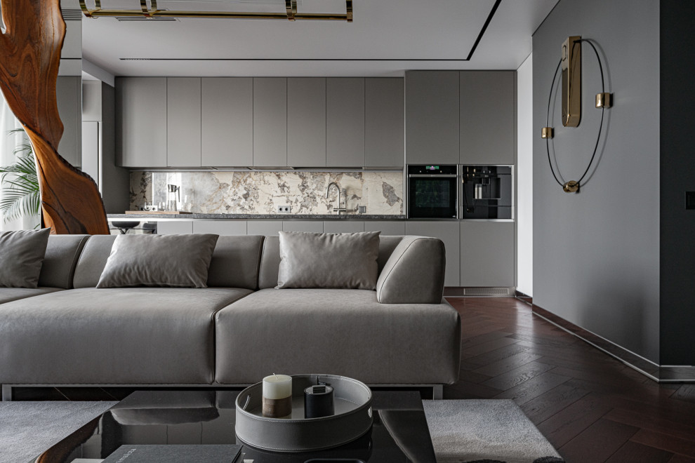 Modernes Wohnzimmer in grau-weiß mit grauer Wandfarbe, dunklem Holzboden, rotem Boden und Steinwänden in Sonstige