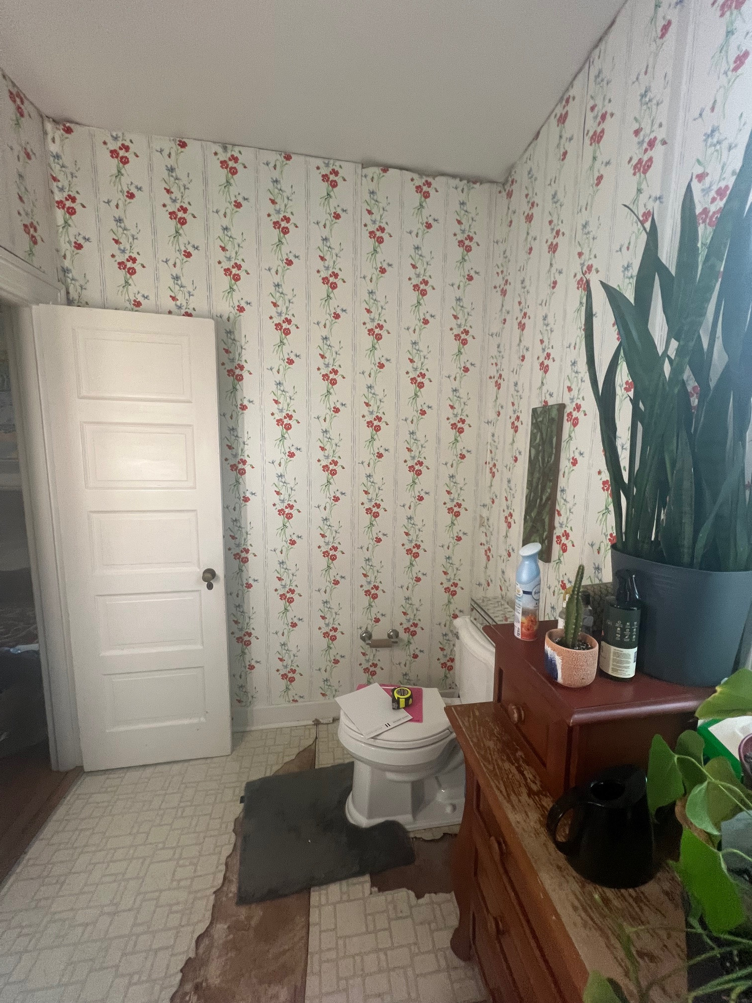 A Botanical Reverie