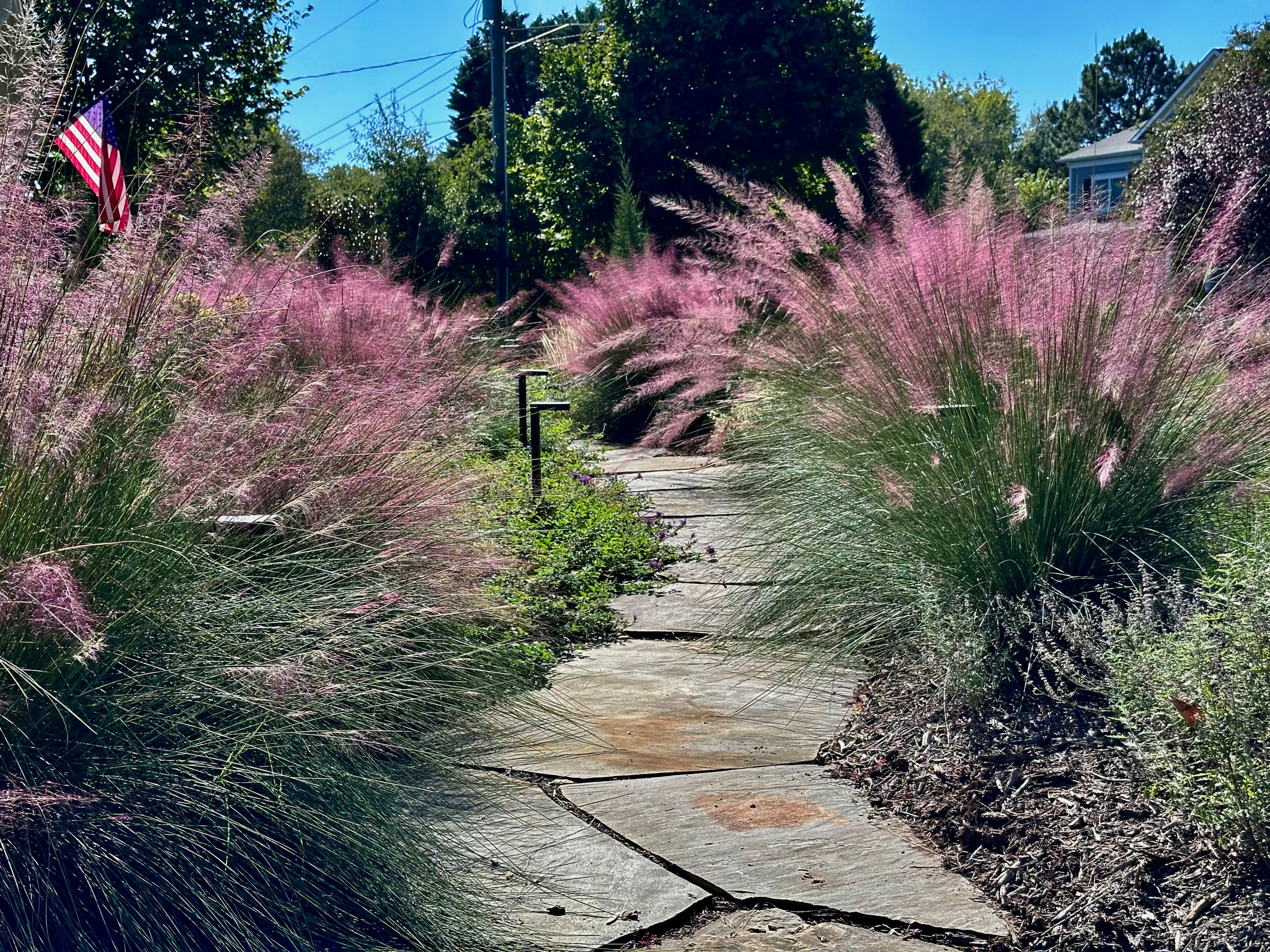 Concrete Sidewalk Becomes A Stroll Garden