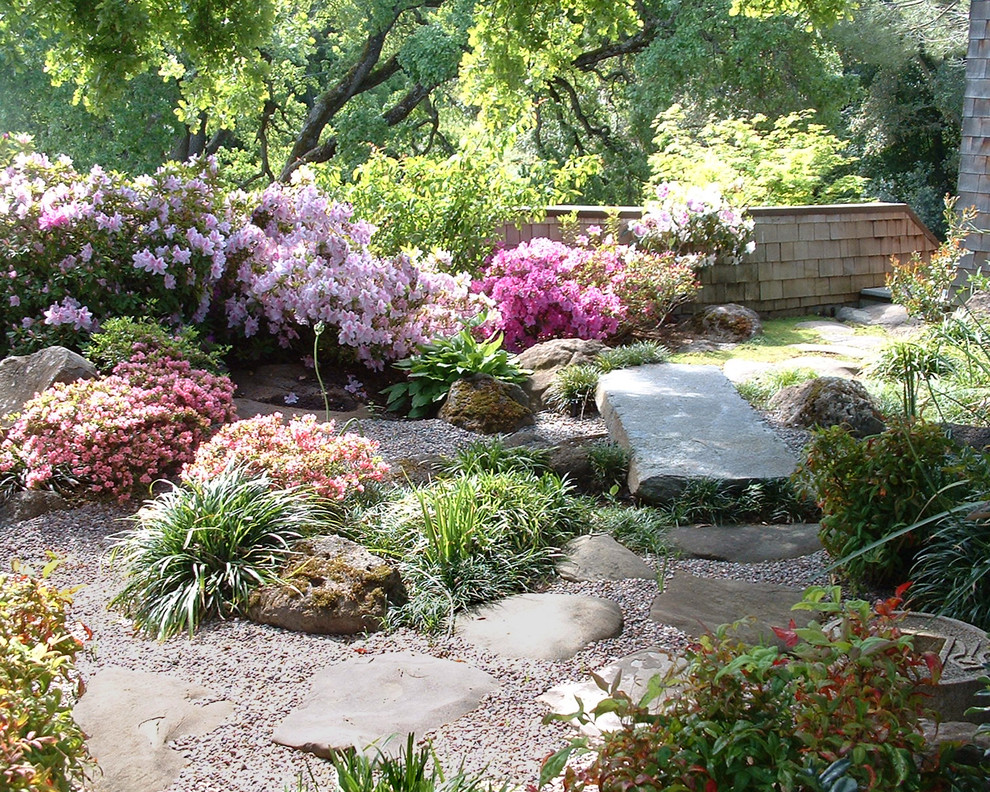 Photo of a contemporary backyard garden for summer in San Francisco.