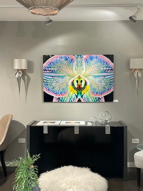 Laurel Feldman Photography