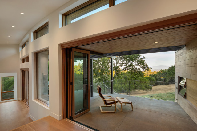 Maple contemporary-terrace