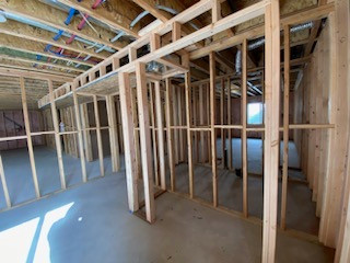 Basement Framing