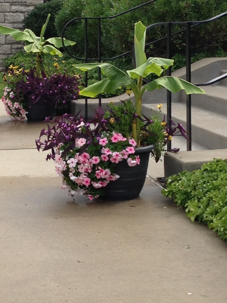 This is an example of a mid-sized transitional full sun front yard landscaping.