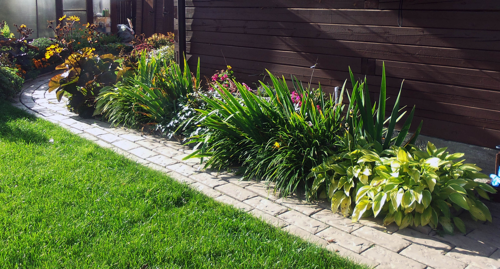 Цветники и композиции