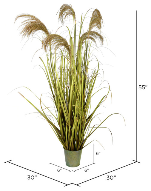 Vickerman 55
