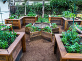 Traditional Landscape by Casa Smith Designs, LLC