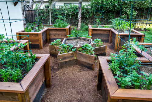 Here is a vegetable garden with four L shaped raised garden beds, as well as a star in the center. This is great orientation, and also allows the garden to have a visual appeal. Even someone that does not garden can appreciate the design of this area.