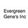 Evergreen Gene's Inc