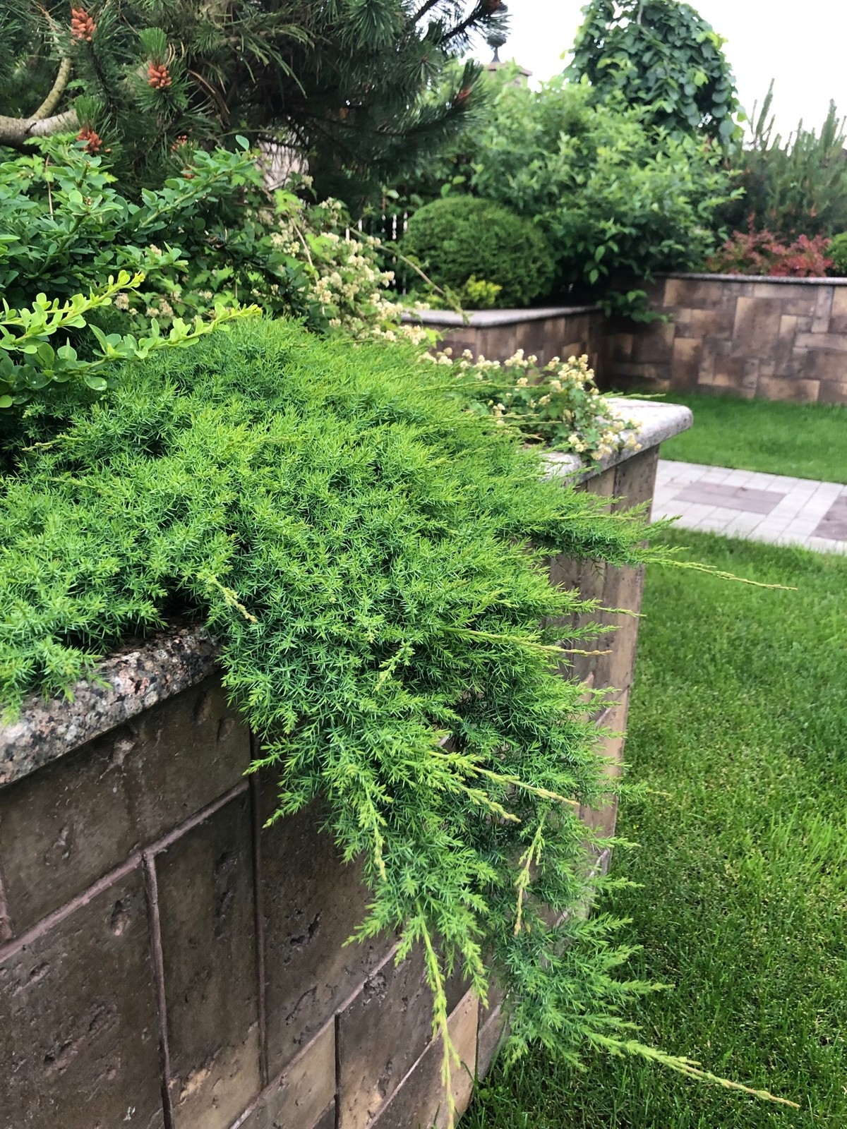 Подпорные стены в саду, участок с перепадом высот