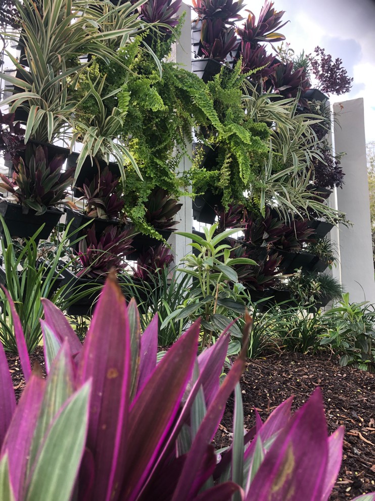 Sinnamon Park Design and Renovation