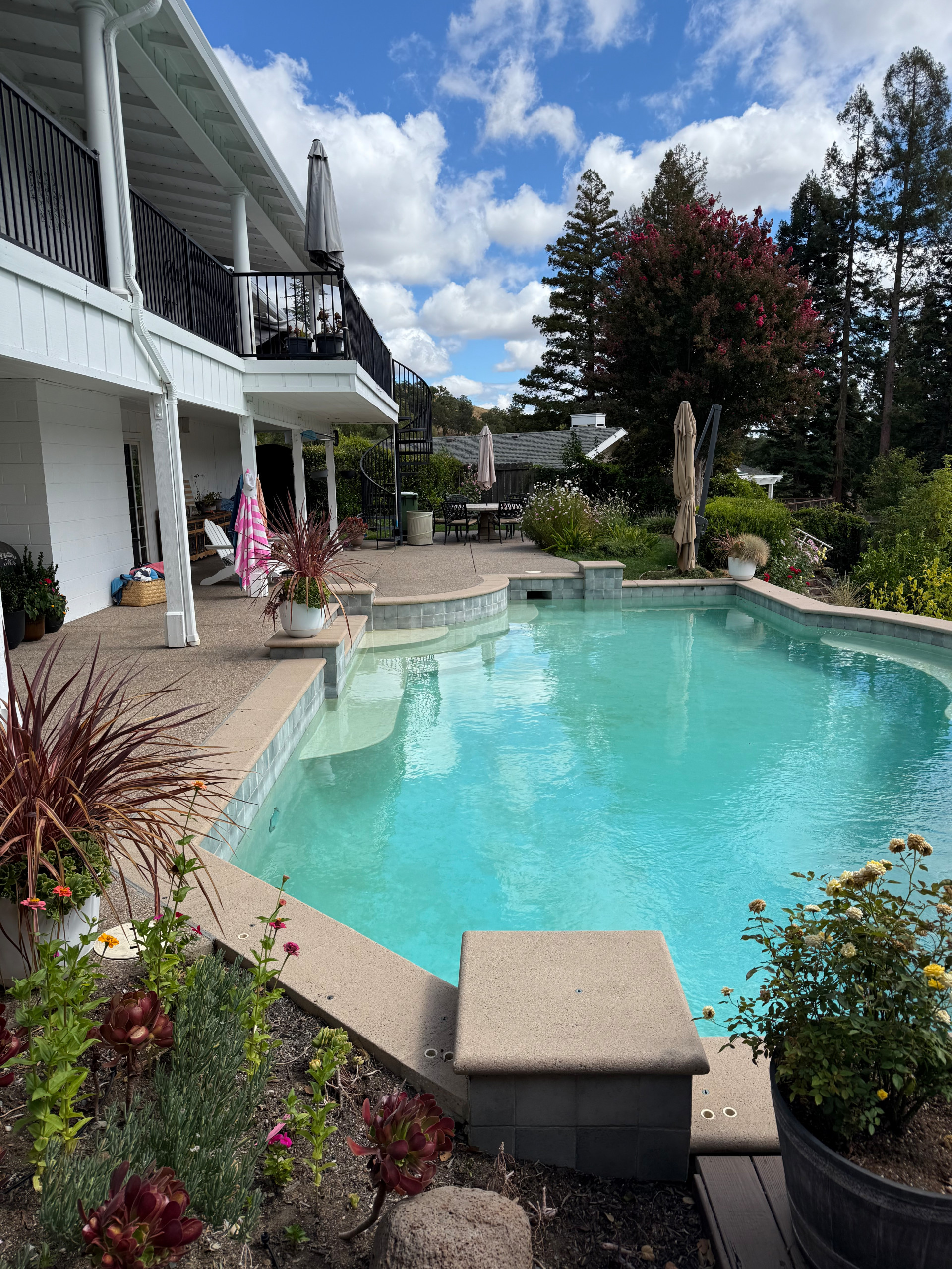 Exterior remodel - Alamo