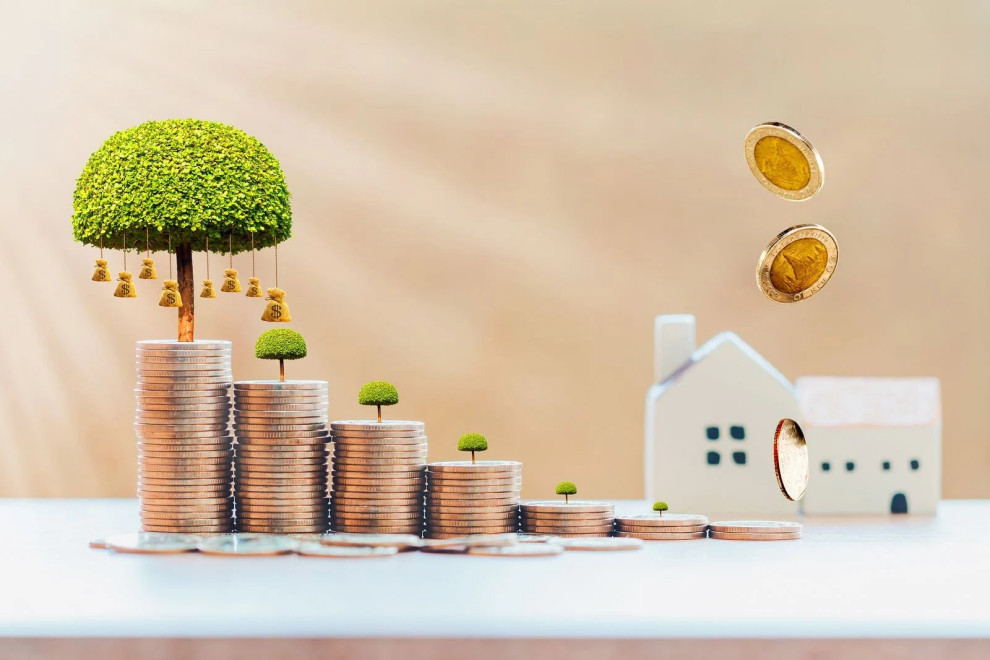 money tree and house